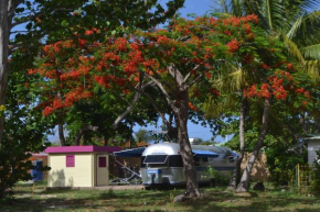 Airstream Paradise